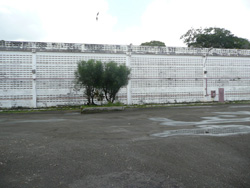 AC232