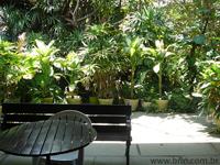 Aluguel Residencial