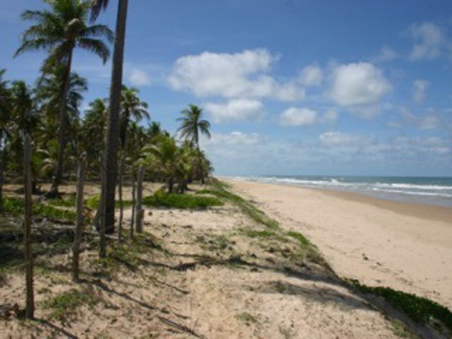 ÁREA DE PRAIA BAHIA 
