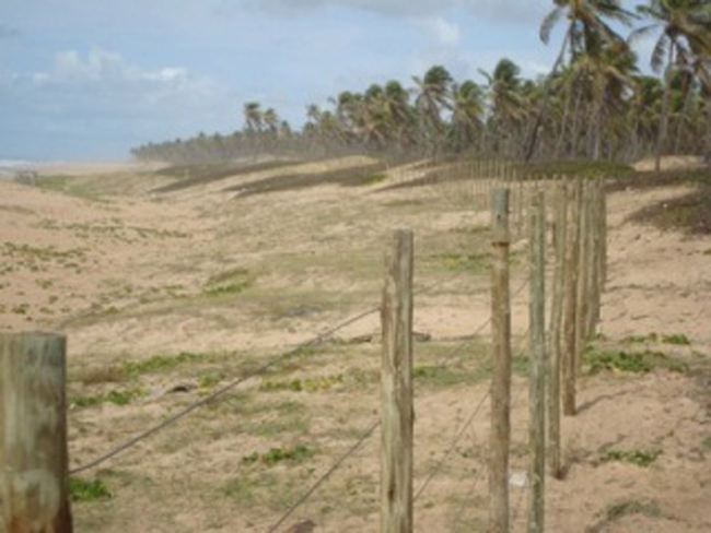 ÁREA DE PRAIA BAHIA 