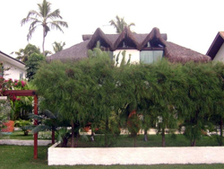 BR11
