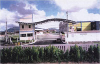 CLG09