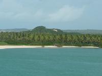 RN00
