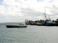 RN01