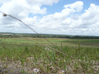 area urbana
