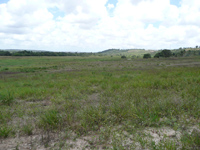 area urbana