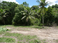 VENDA ÁREA URBANA