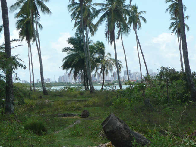 VENDA ÁREA URBANA
