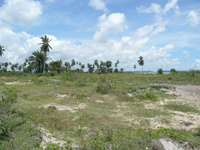 VENDA ÁREA URBANA