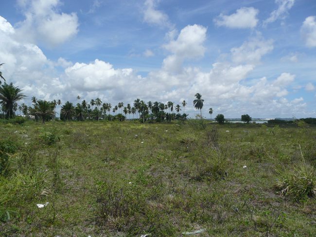 VENDA ÁREA URBANA