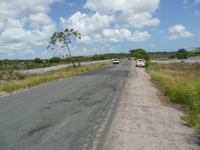 area urbana