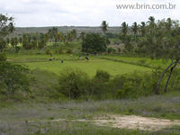 agroce01