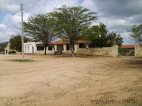 agroce01