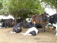 agroce01