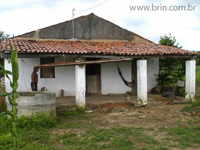 agroce02