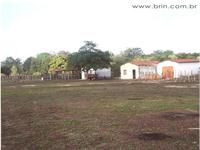 Negocios Agrobussines 