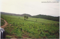 Negocios Agrobussines