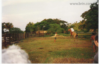 agrooe06