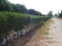 agrooe07