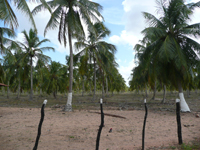 Sitios e Fazendas