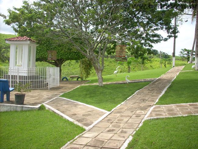 Negocios Agrobussines 