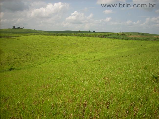 Negocios Agrobussines 