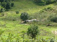 agrope19