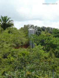 agrope19