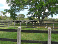 agrope20