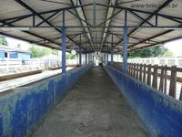 agrope20