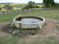agrope20