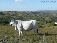 agrope24