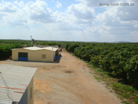 agrope26