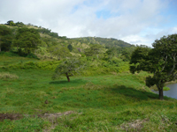 agrope28