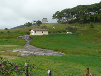 agrope28