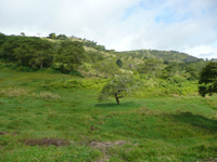 agrope28